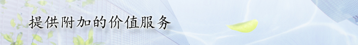 提供附加的价值服务