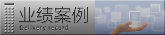 业绩案例